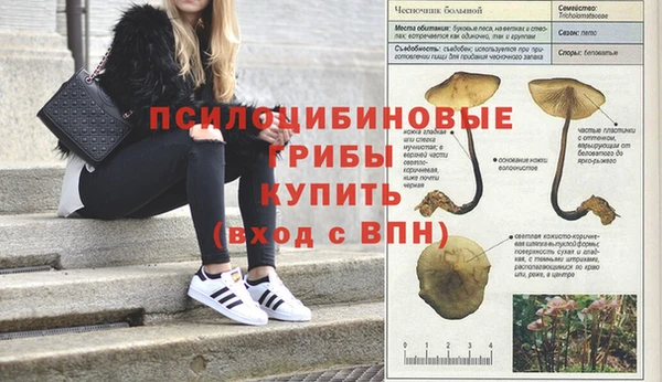 стаф Волоколамск