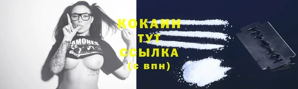 стаф Волоколамск