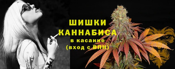 не бодяженный Володарск